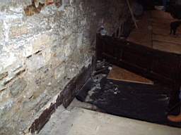 christchurch - 3450.jpg